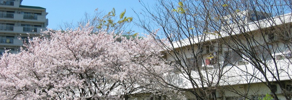 タマエスティ国際留学生会館 TamaEsty Student Housing タマエスティ国際留学生会館 TamaEsty Student Housing