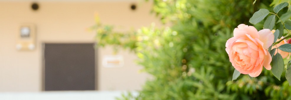 タマエスティ国際留学生会館 TamaEsty Student Housing タマエスティ国際留学生会館 TamaEsty Student Housing